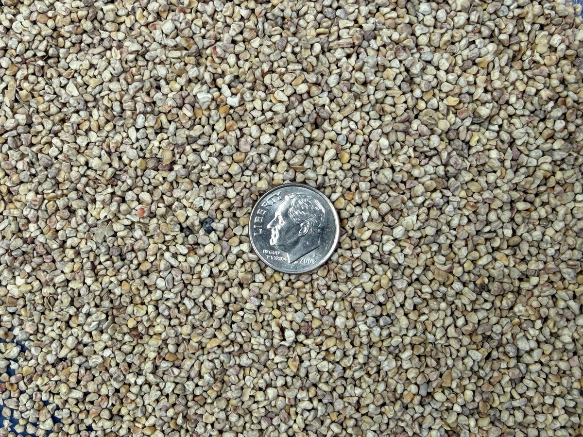 Media - Corn Cob 10-14 Polishing Soft Metals